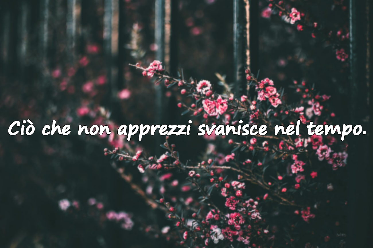 Ciò che non apprezzi svanisce nel tempo.