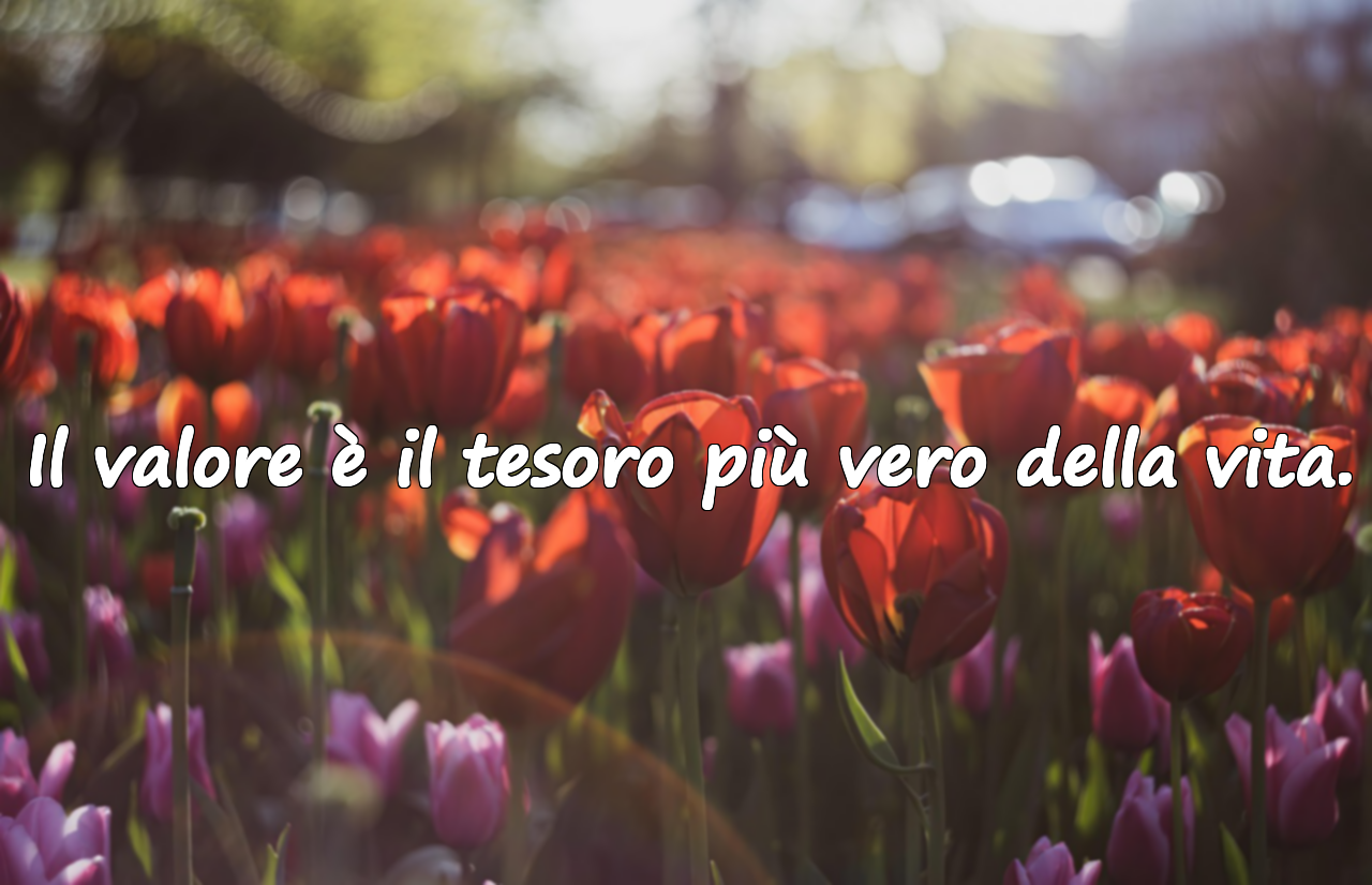 Il valore è il tesoro più vero della vita.