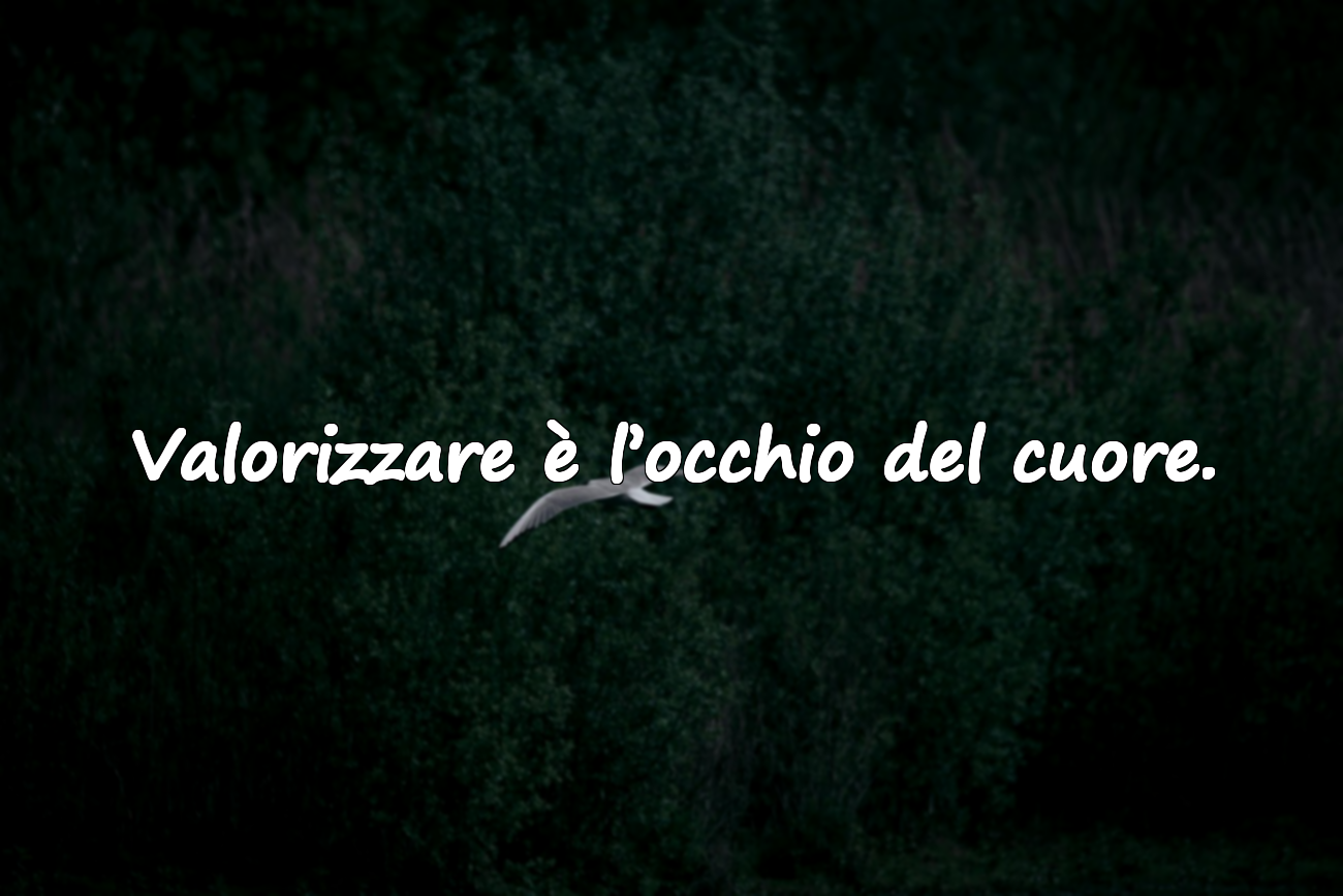 Valorizzare è l’occhio del cuore.