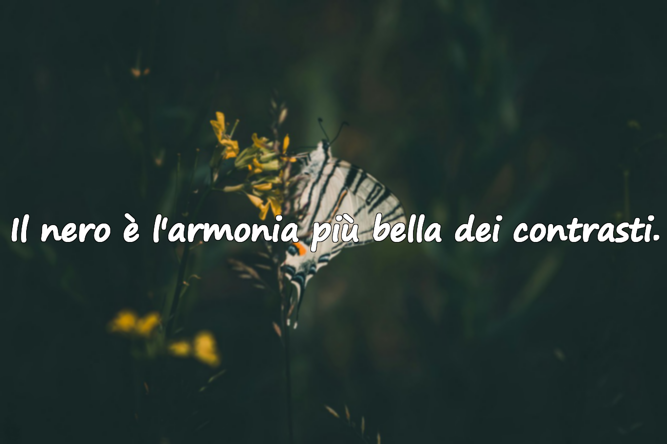 Parole sul nero