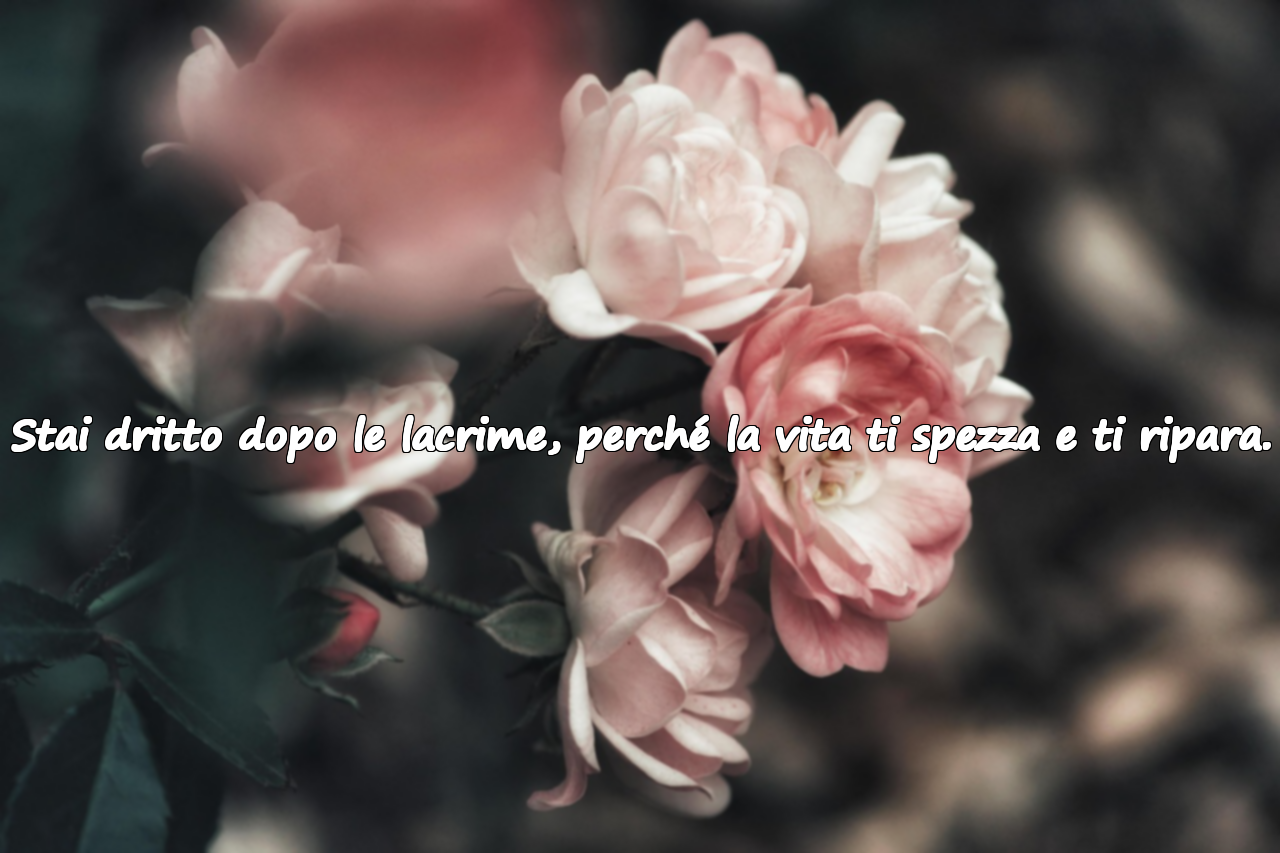 Parole sul pianto e sulla forza