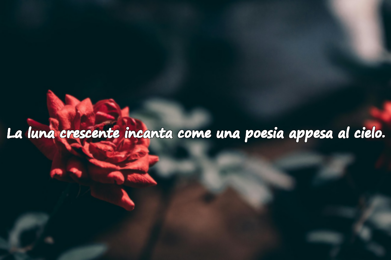 Parole sulla luna crescente