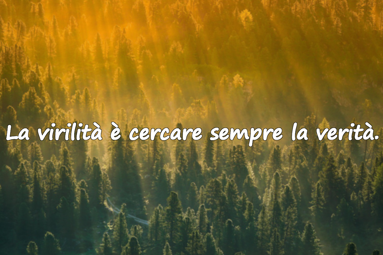 Parole sulla virilità / integrità