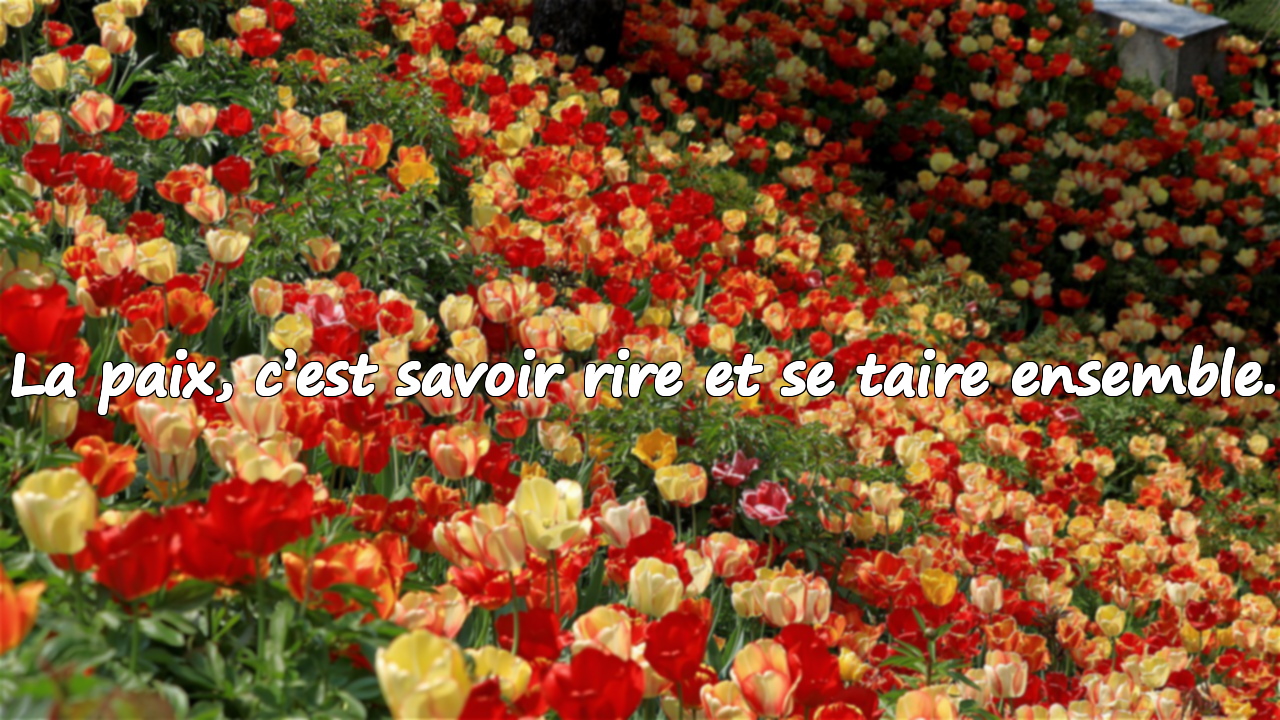 Paroles de Paix pour les Familles