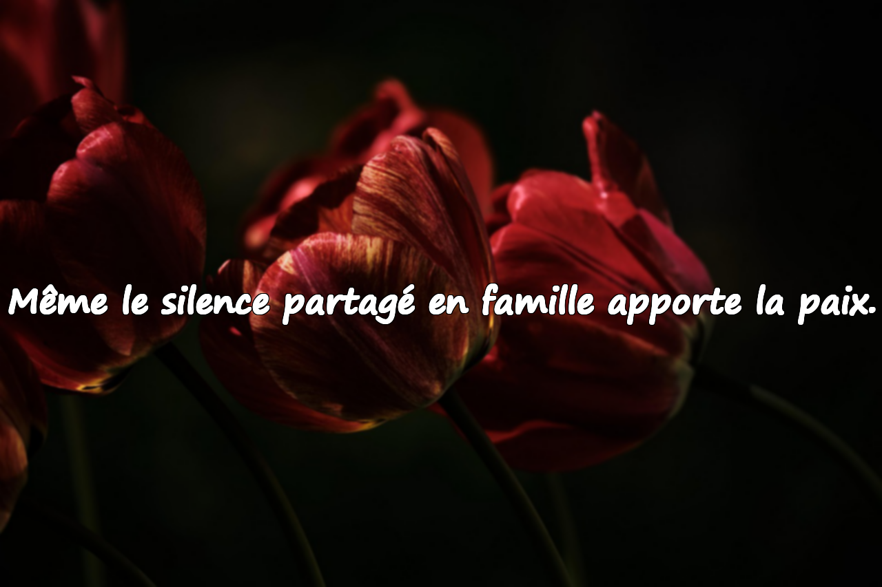 Paroles de Paix pour les Familles