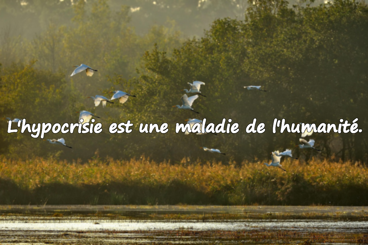 Paroles dures et allusives pour les gens hypocrites