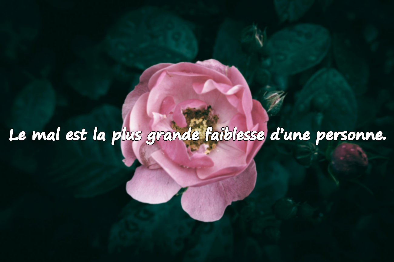 Paroles pour les Mauvaises Personnes