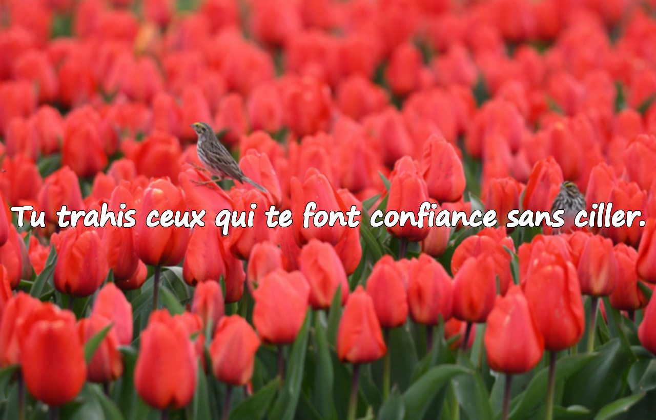 Paroles pour les gens sans caractère