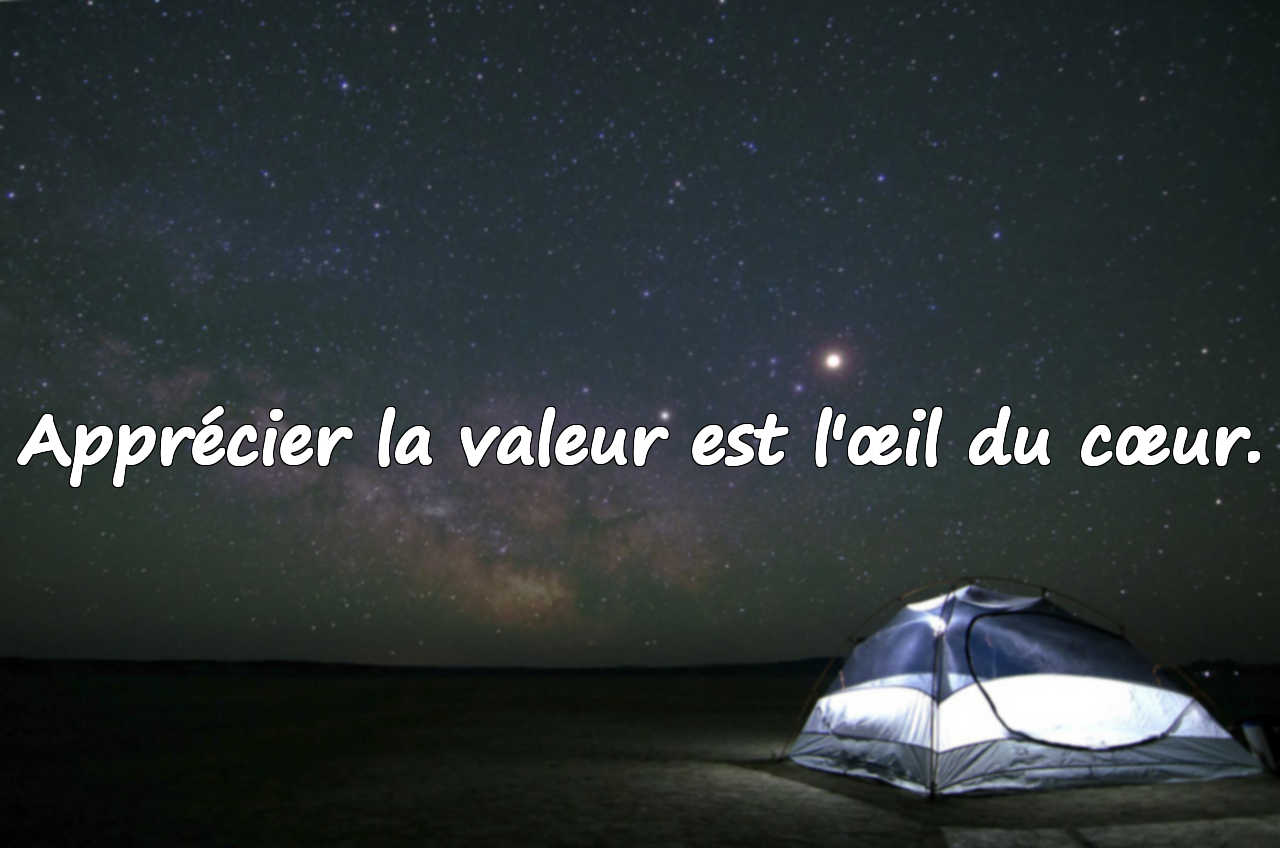 Apprécier la valeur est l'œil du cœur.