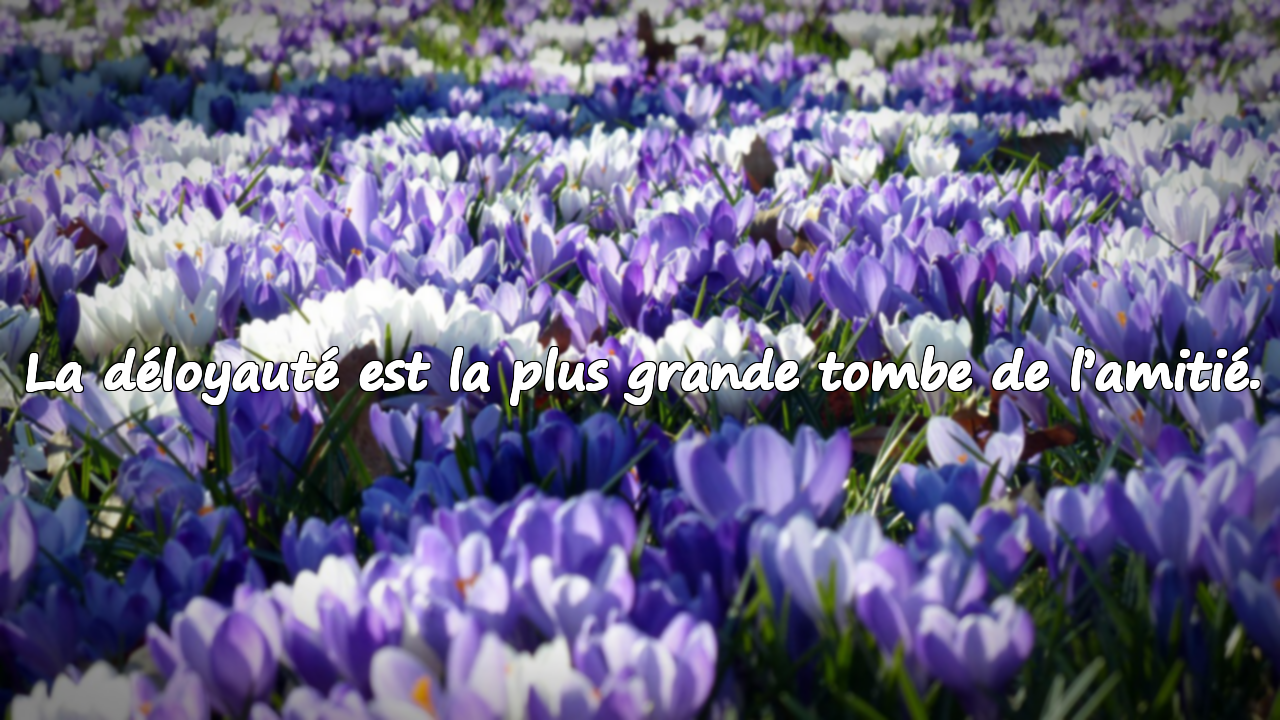 Paroles sur la déloyauté