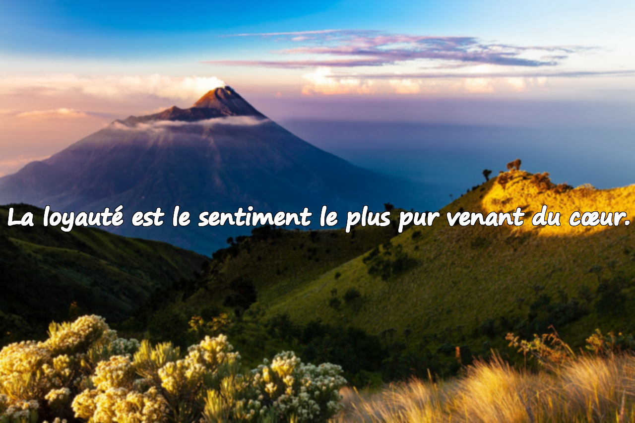Paroles sur la loyauté