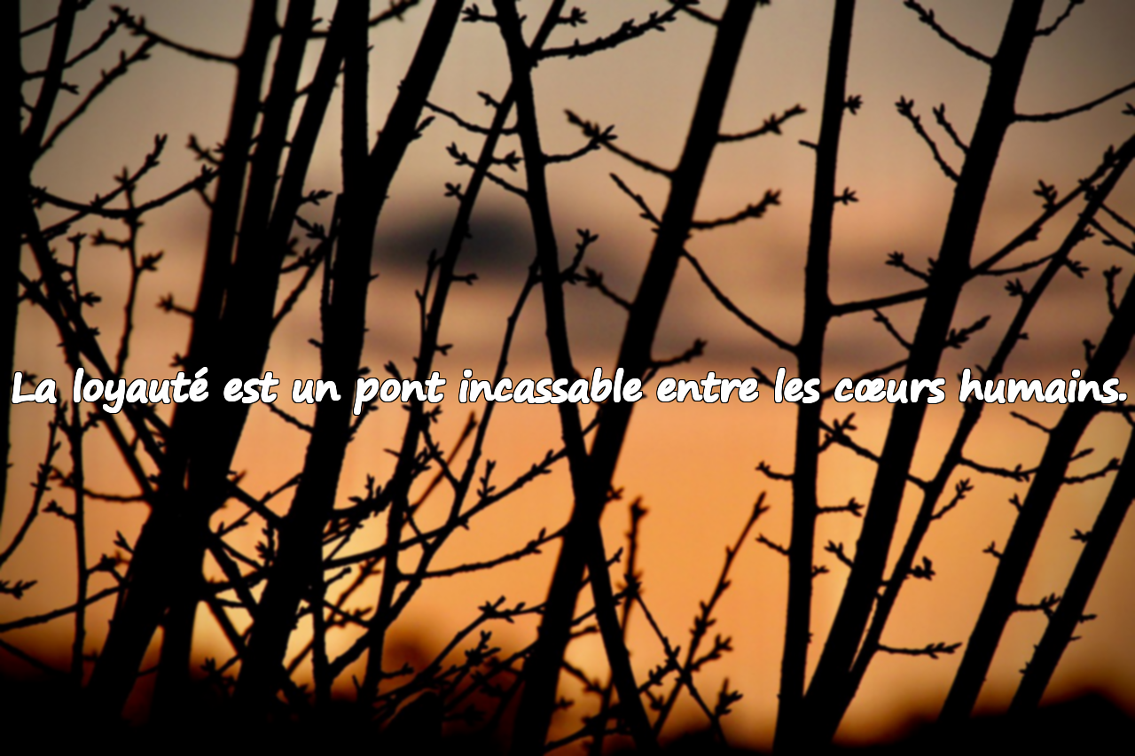 Paroles sur la loyauté