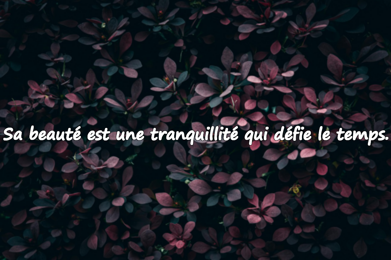 Sa beauté est une tranquillité qui défie le temps.