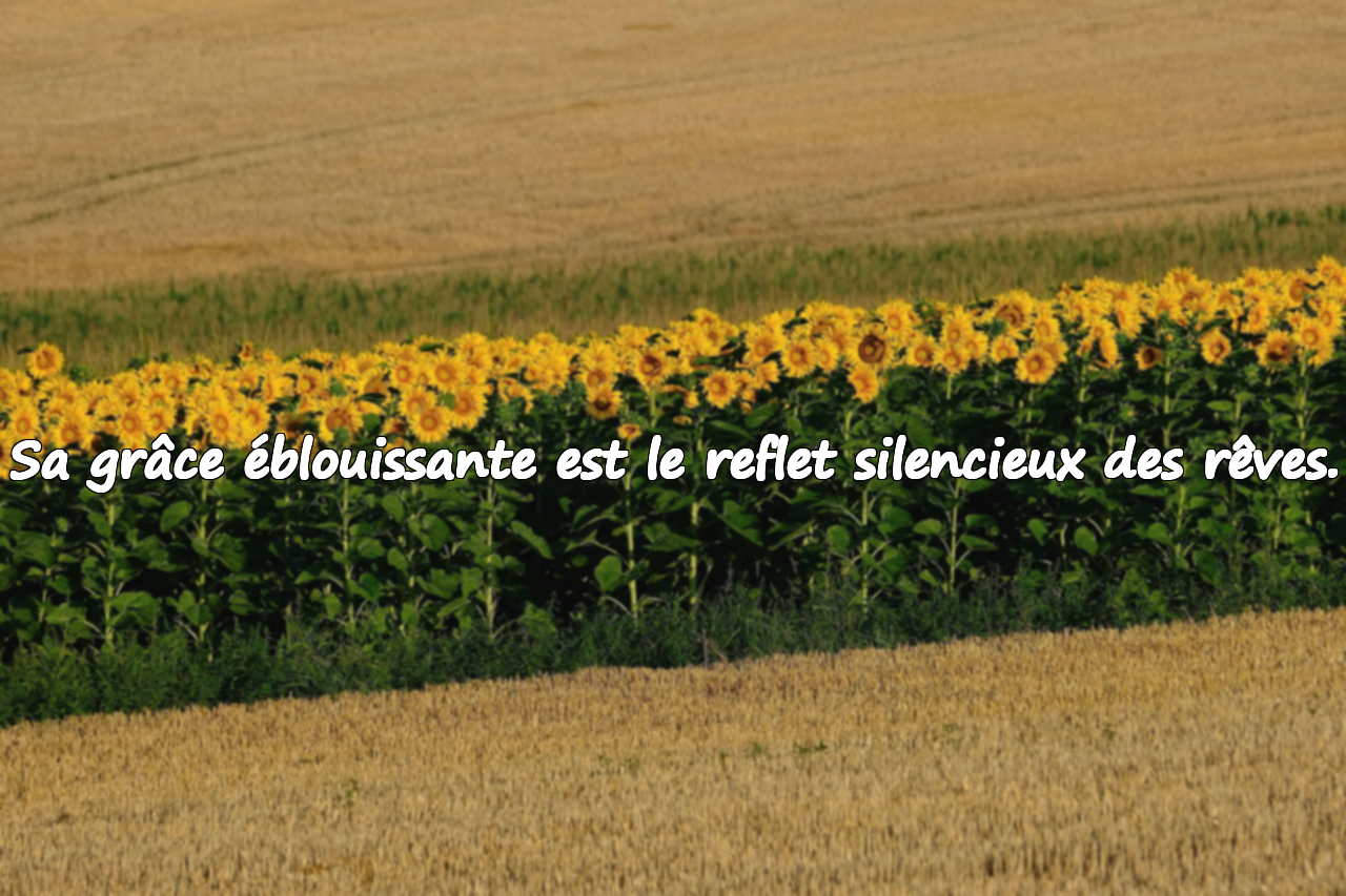 Paroles sur le croissant