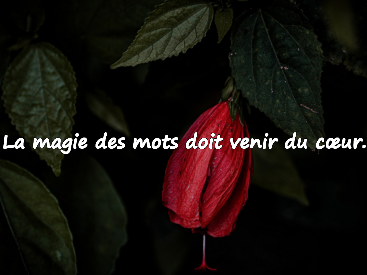 Paroles sur le fait de Parler