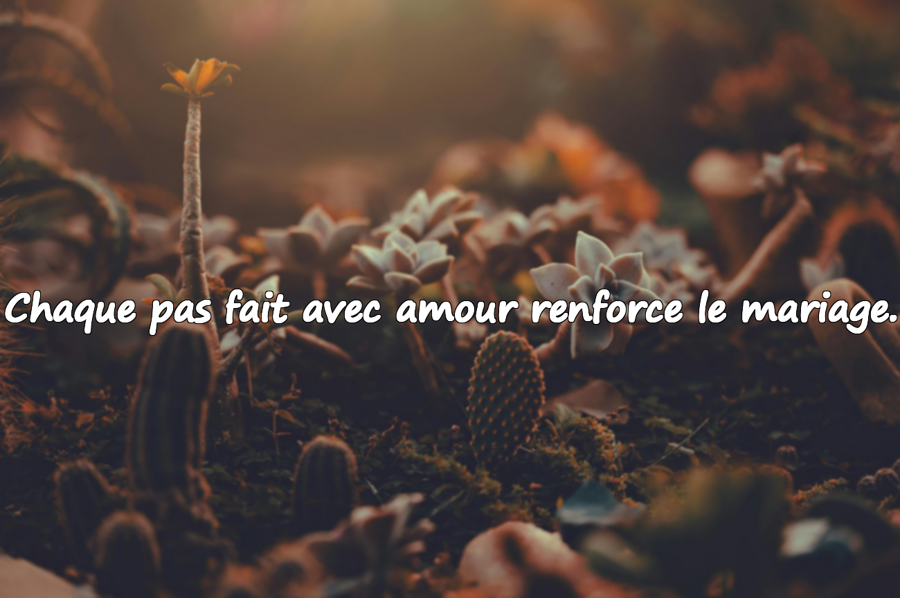 Paroles sur le mariage