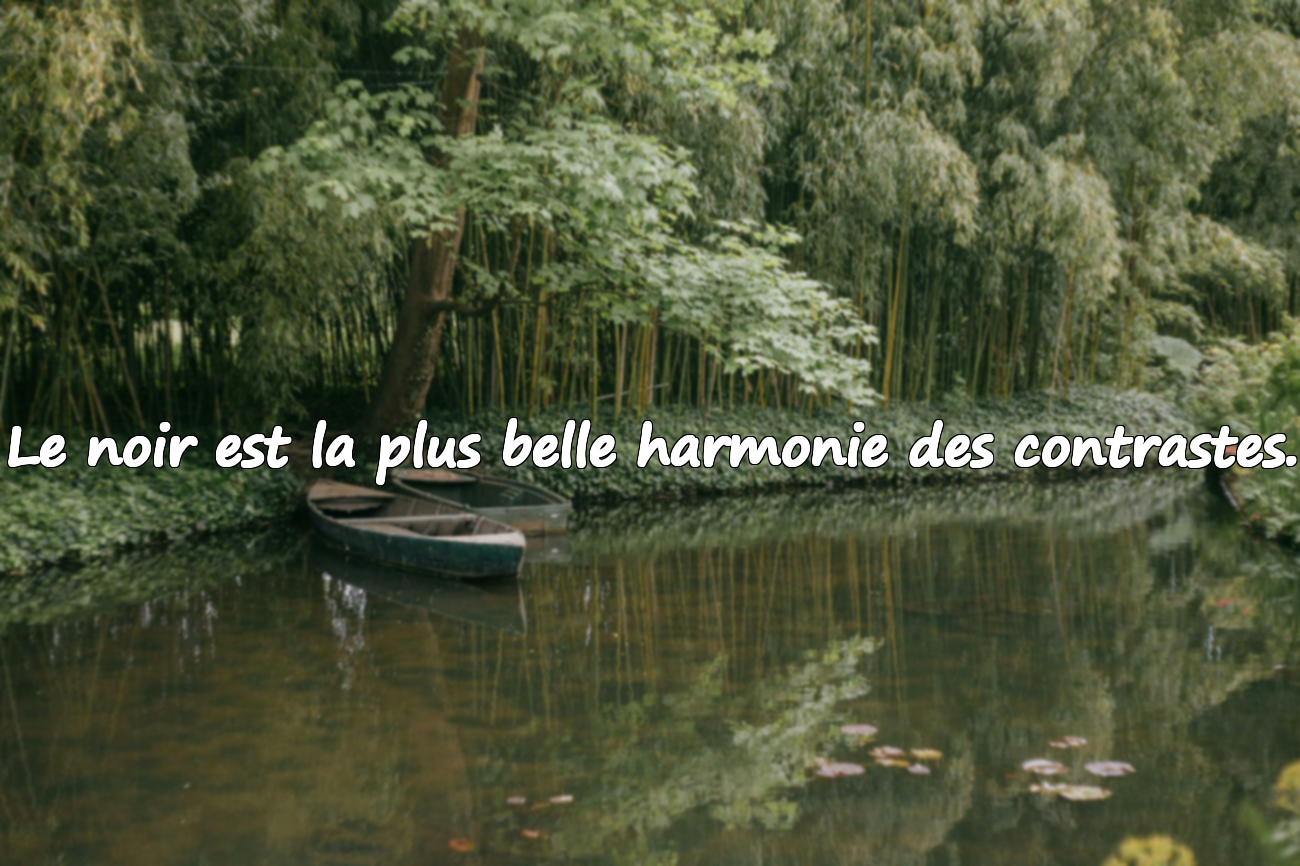 Paroles sur le noir