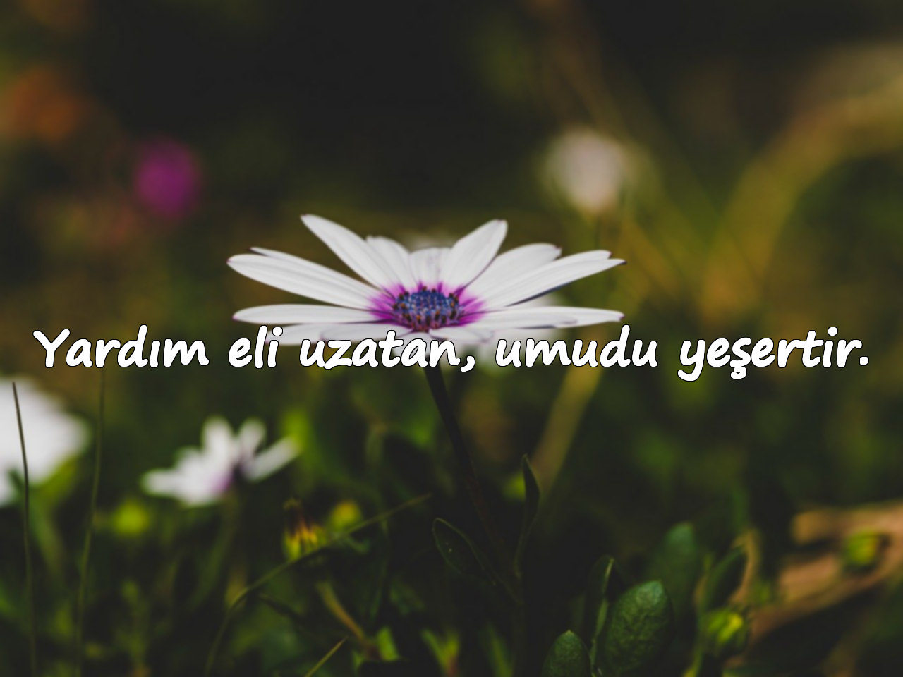 Yardım eli uzatan, umudu yeşertir.
