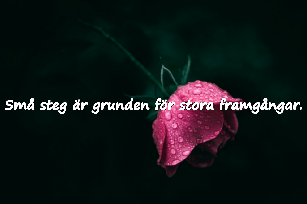 Personlig utveckling citat