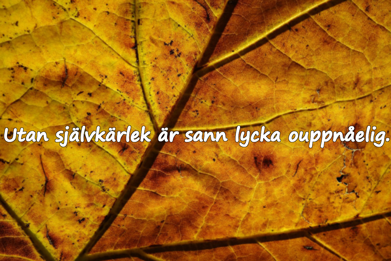 Personlig utveckling citat