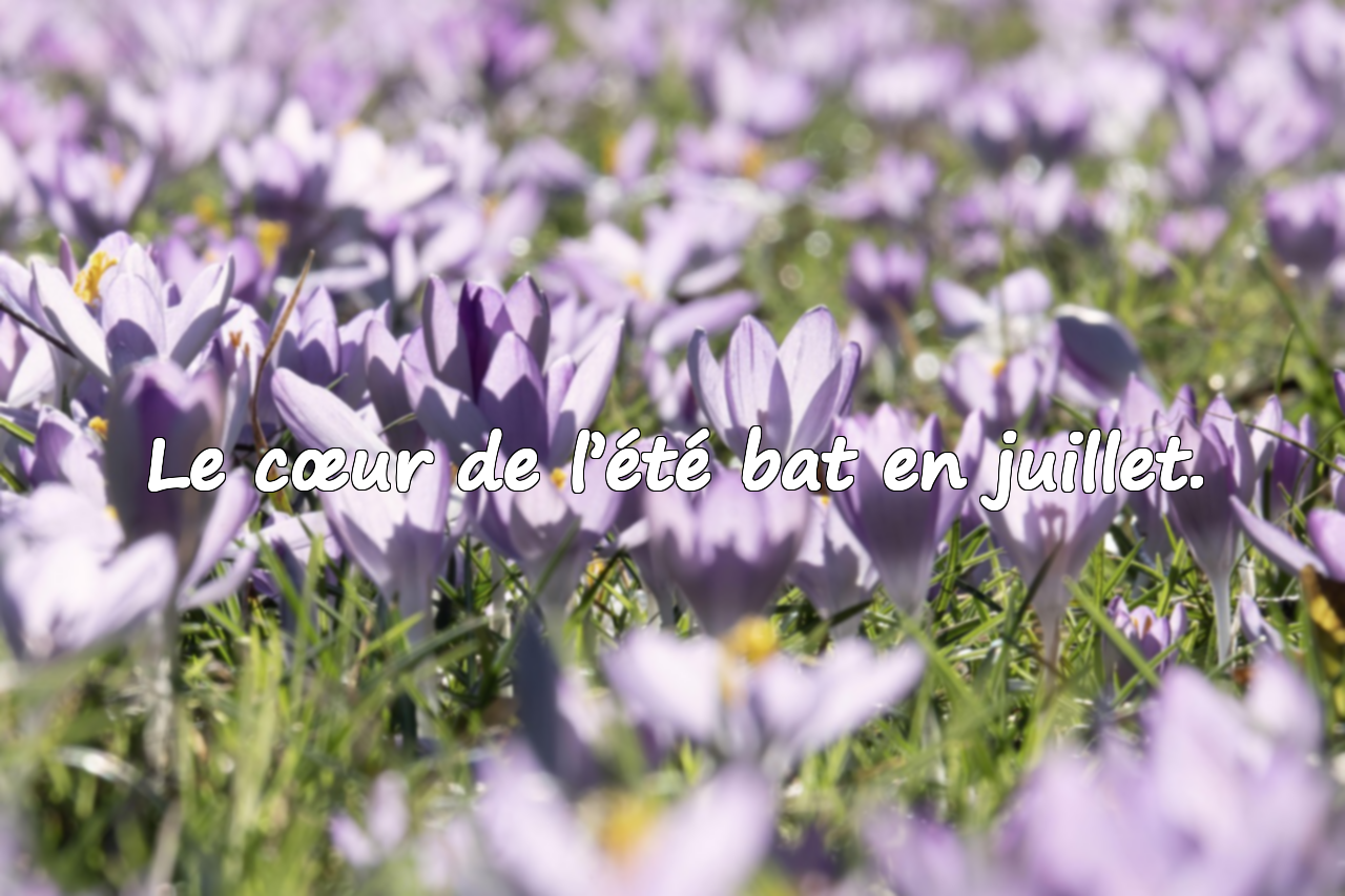 Phrases Significatives Sur le Mois de Juillet