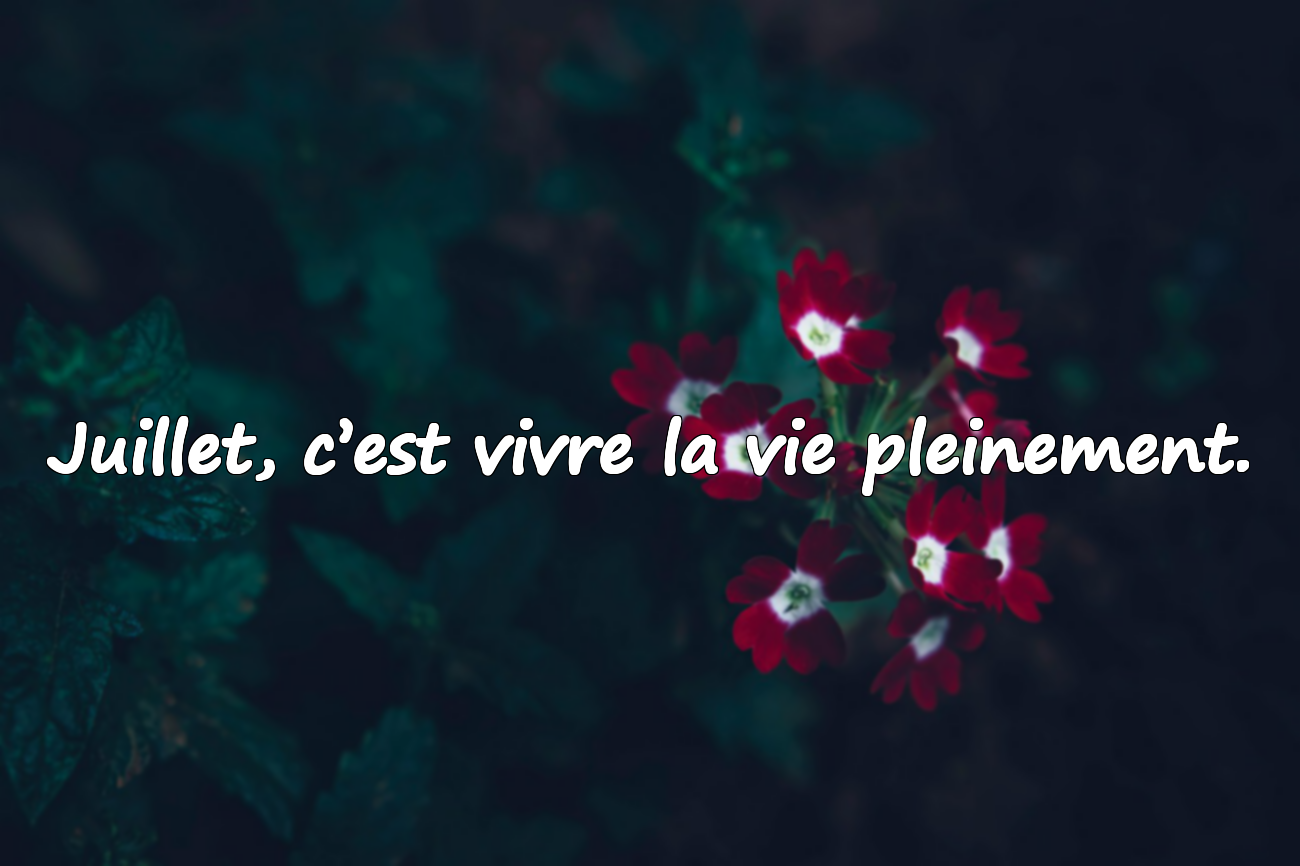Phrases Significatives Sur le Mois de Juillet