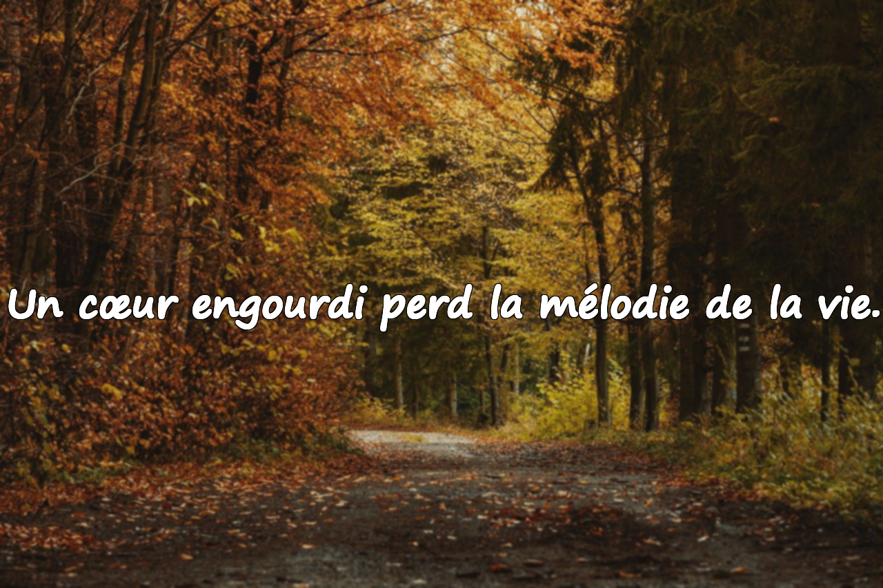 Phrases Significatives sur l'Engourdissement Émotionnel