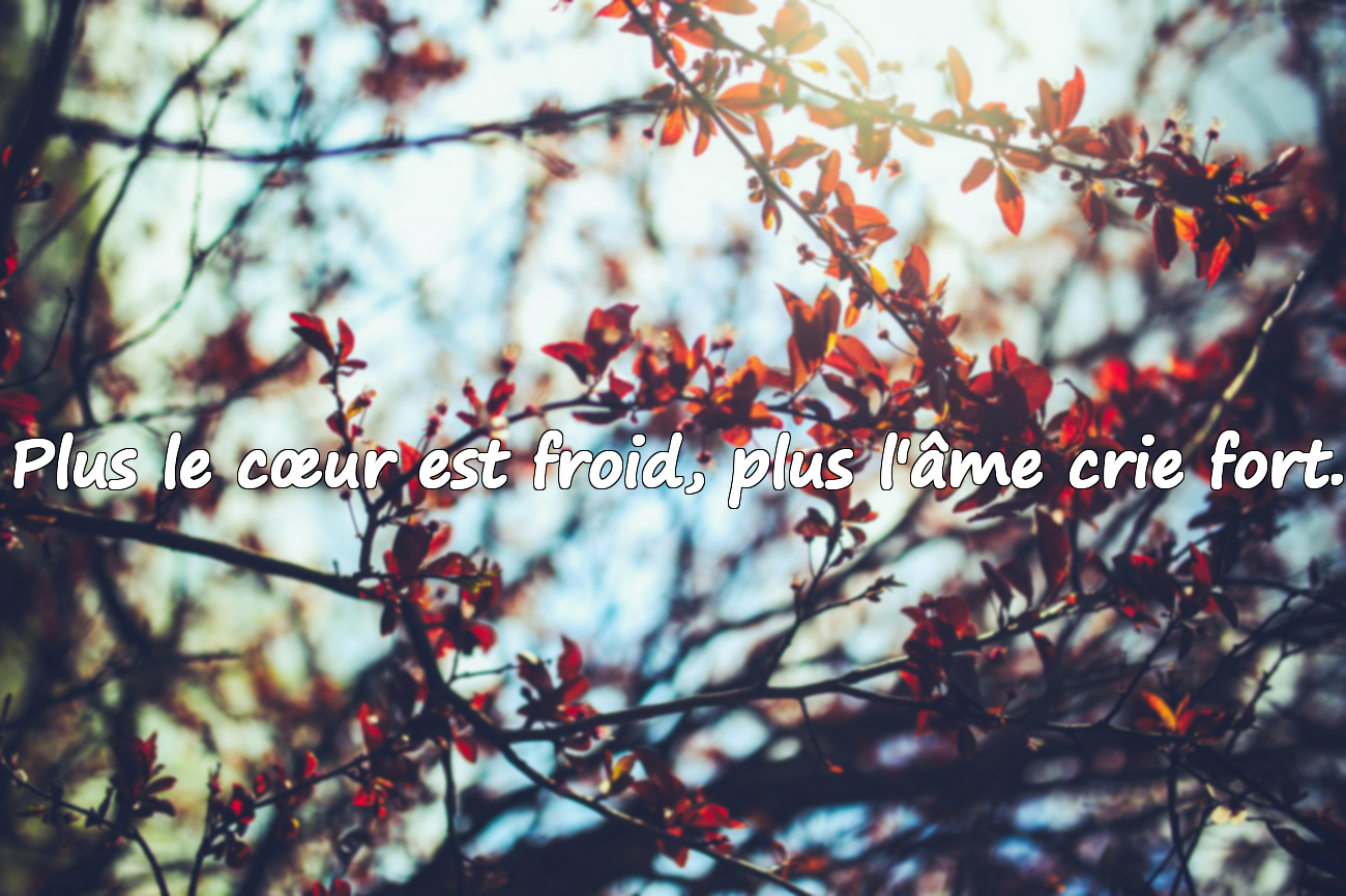 Phrases Significatives sur l'Engourdissement Émotionnel