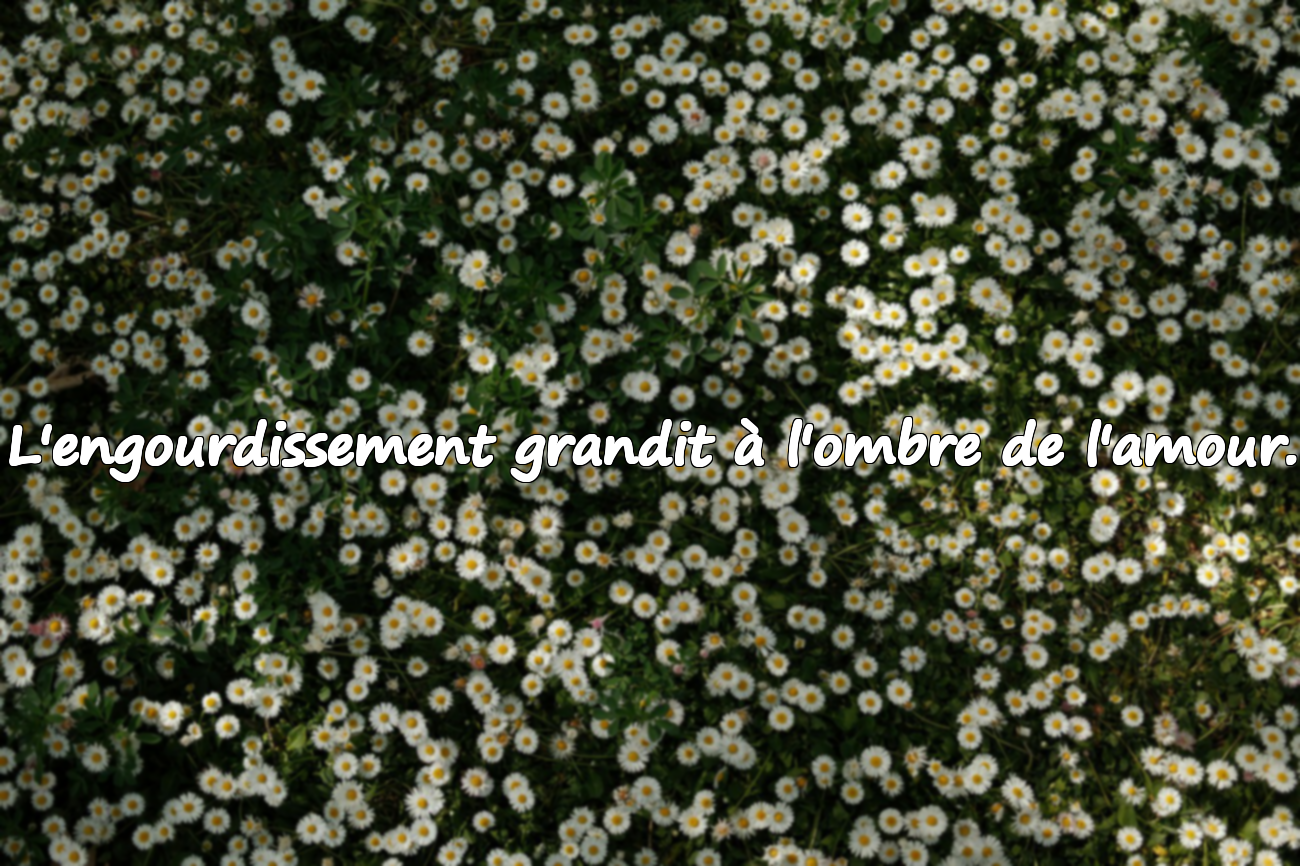 Phrases Significatives sur l'Engourdissement Émotionnel