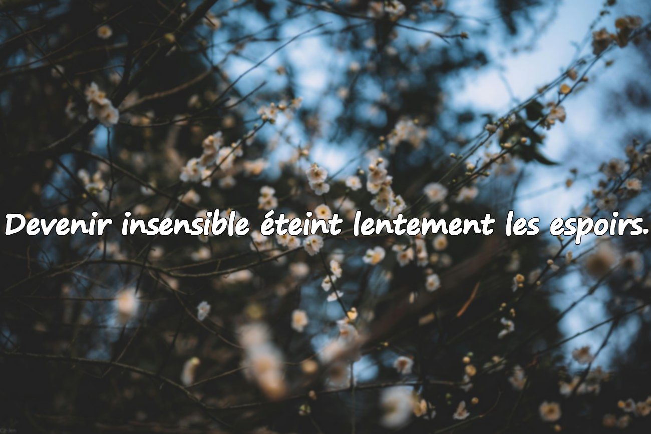 Phrases Significatives sur l'Engourdissement Émotionnel