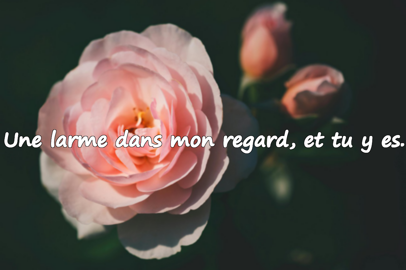 Phrases de rupture