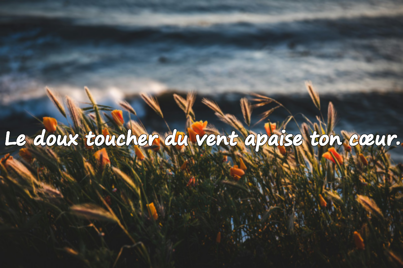 Phrases sur la nature
