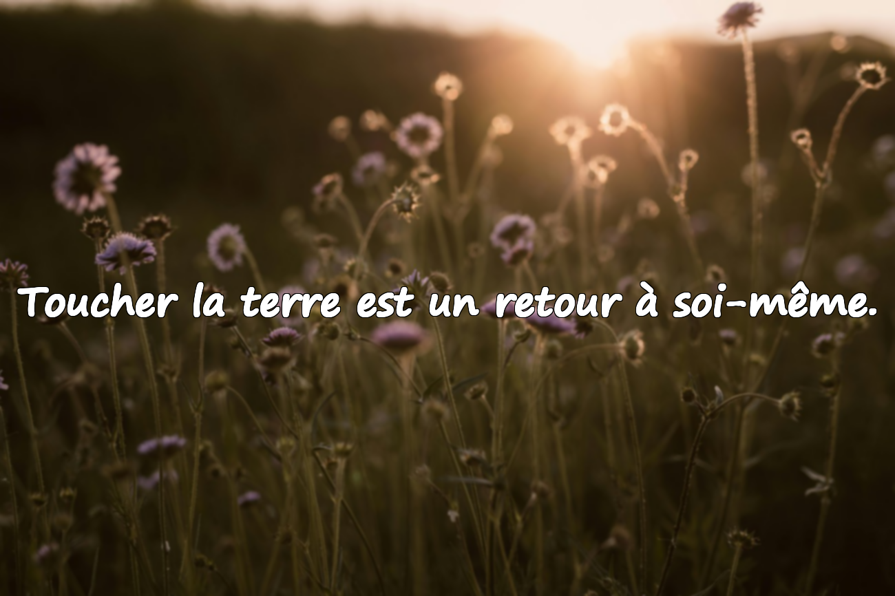 Phrases sur la nature