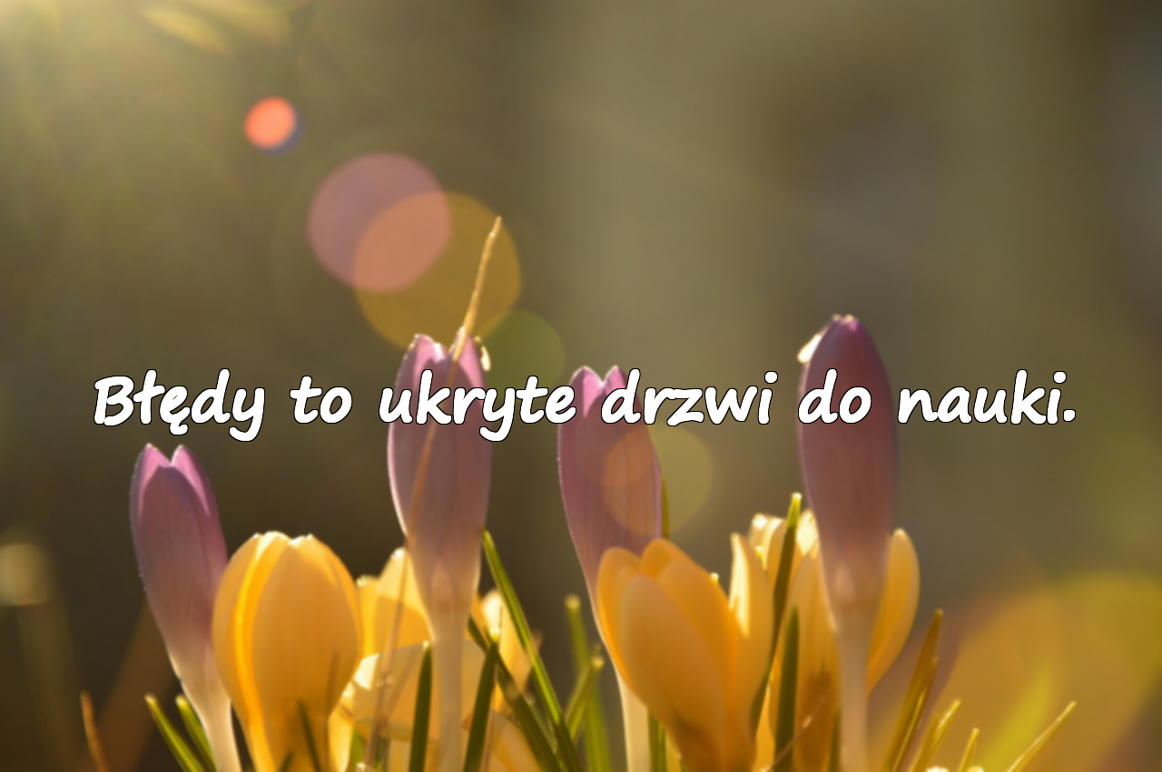 Błędy to ukryte drzwi do nauki.