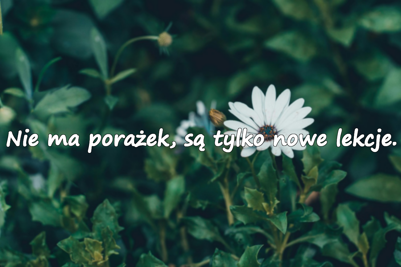 Piękne cytaty o błędach