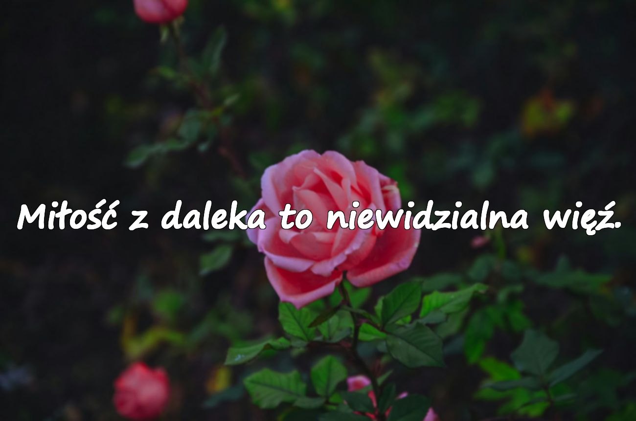 Miłość z daleka to niewidzialna więź.
