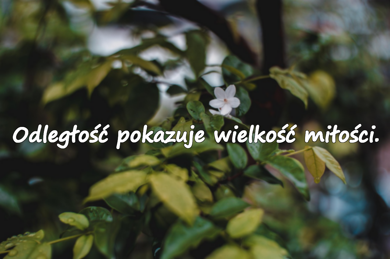 Odległość pokazuje wielkość miłości.