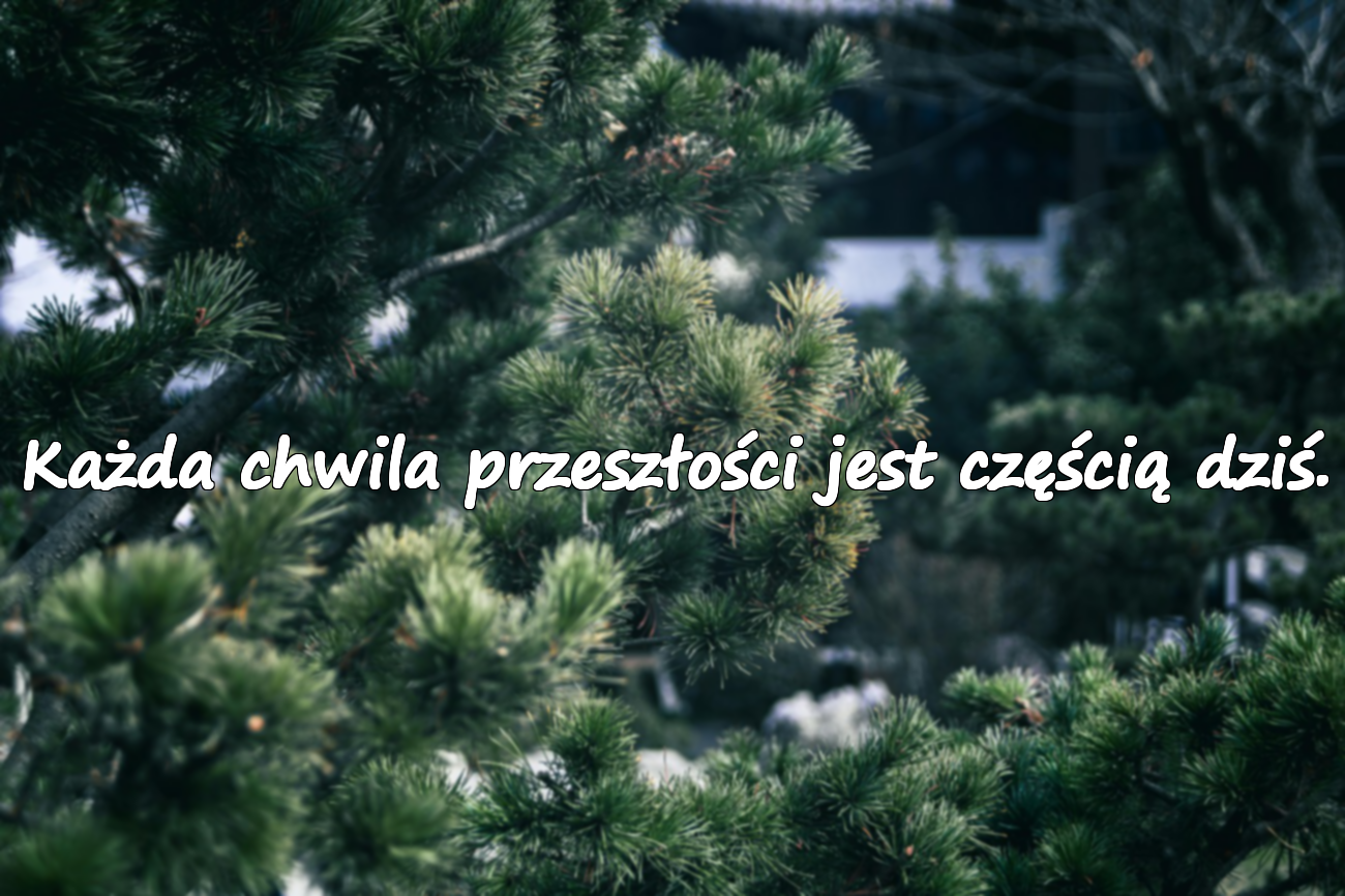 Piękne cytaty o przeszłości