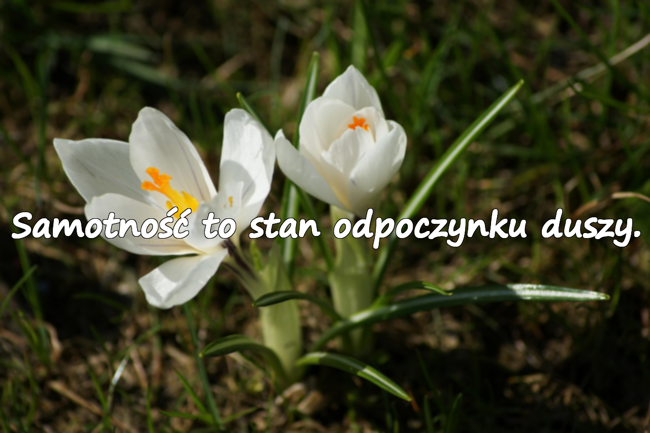 Samotność to stan odpoczynku duszy.