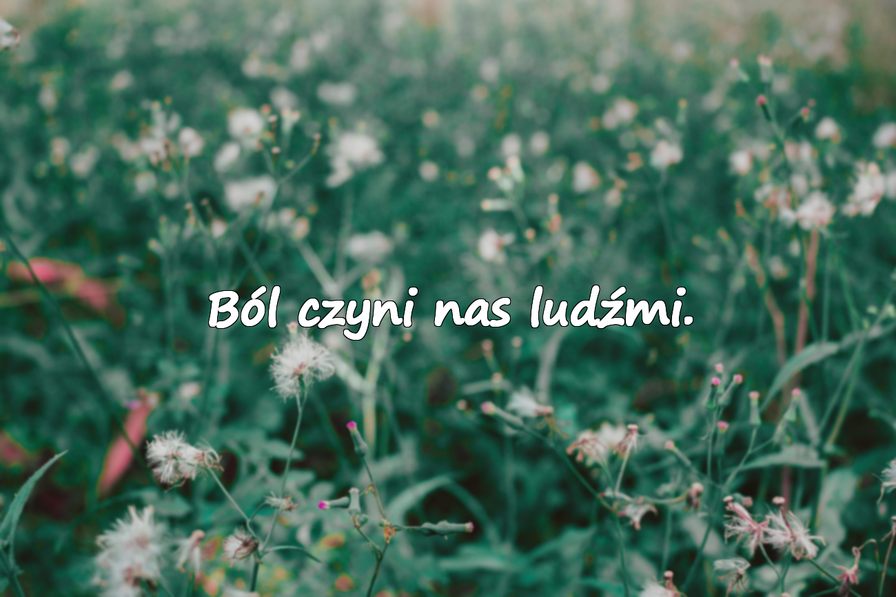 Piękne cytaty o smutku