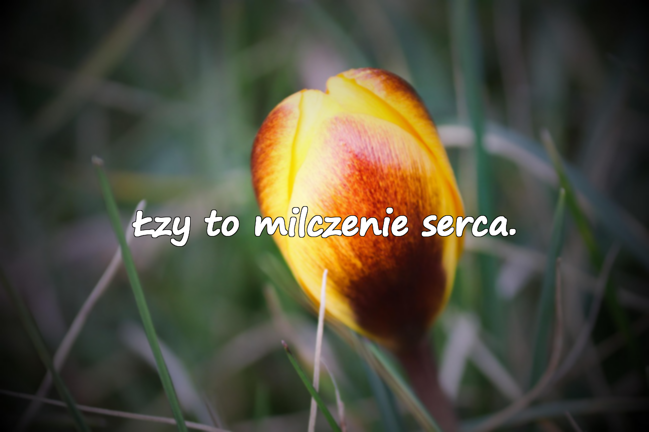 Piękne cytaty o smutku
