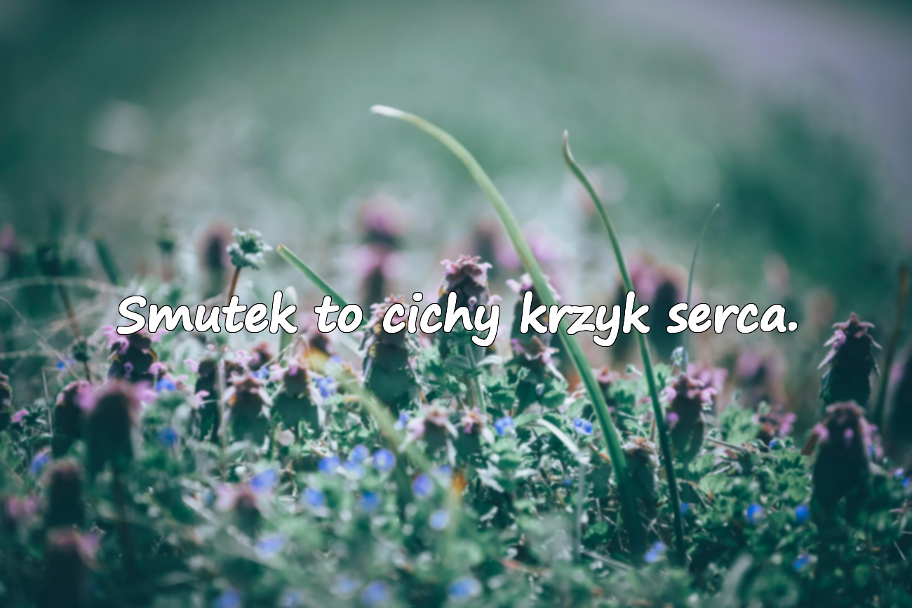 Piękne cytaty o smutku