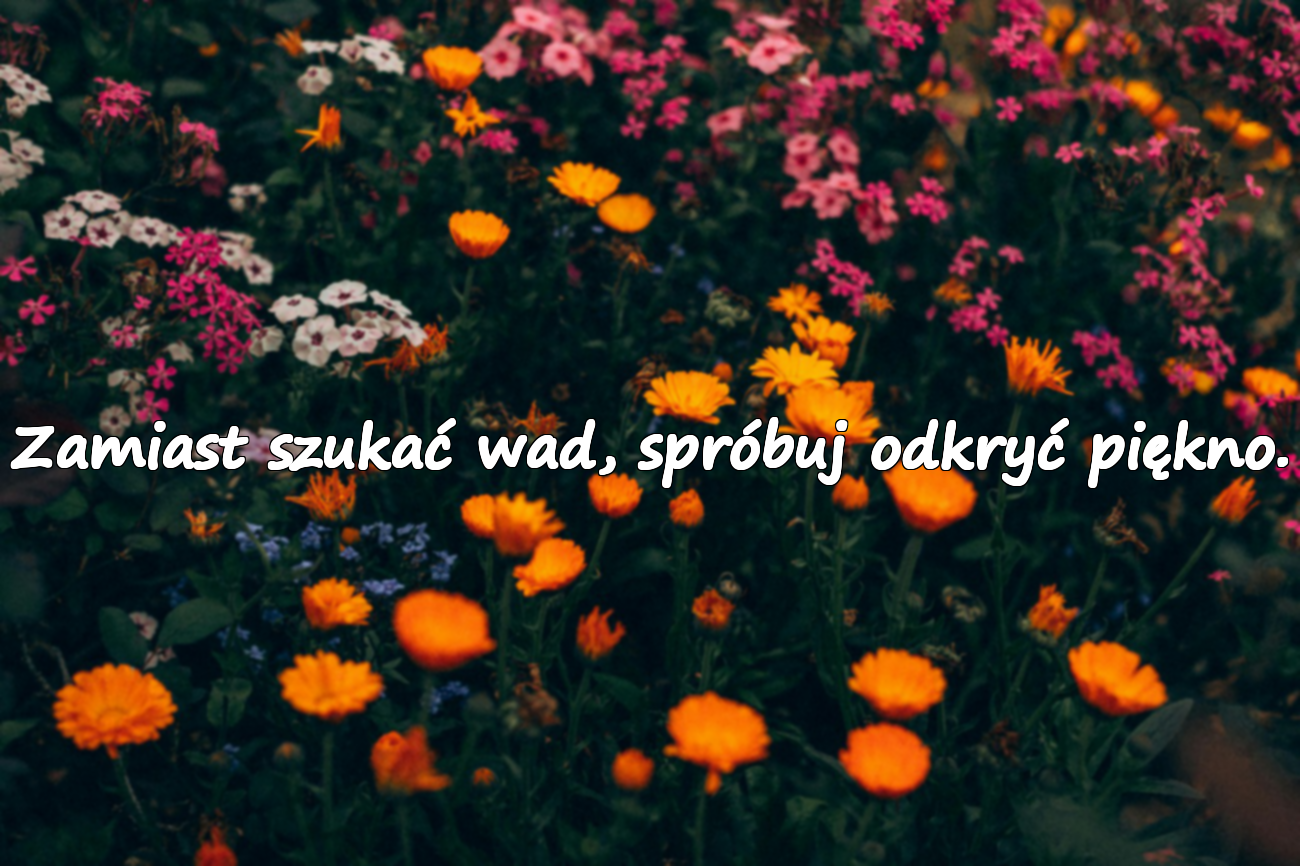 Zamiast szukać wad, spróbuj odkryć piękno.