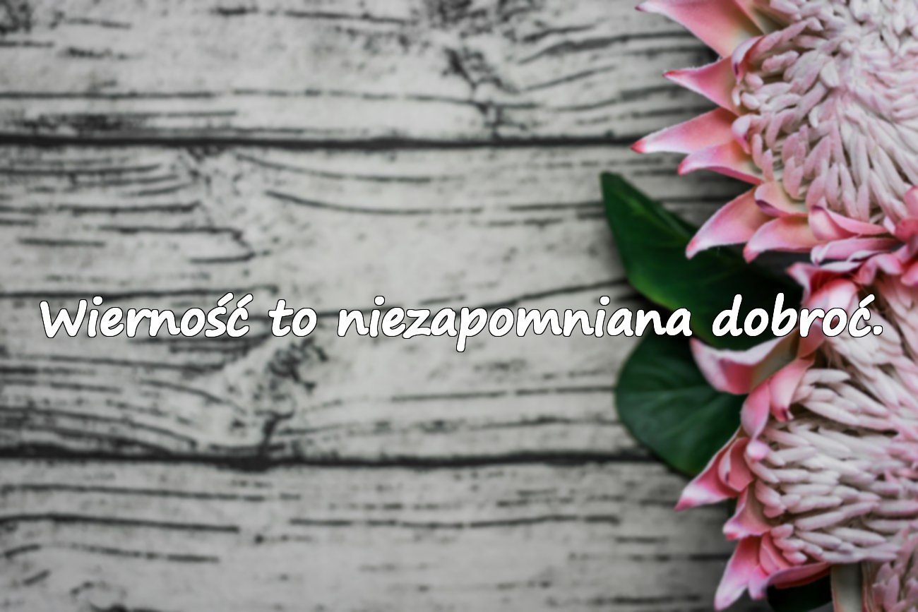 Wierność to niezapomniana dobroć.
