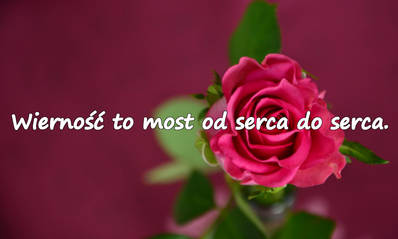 Wierność to most od serca do serca.