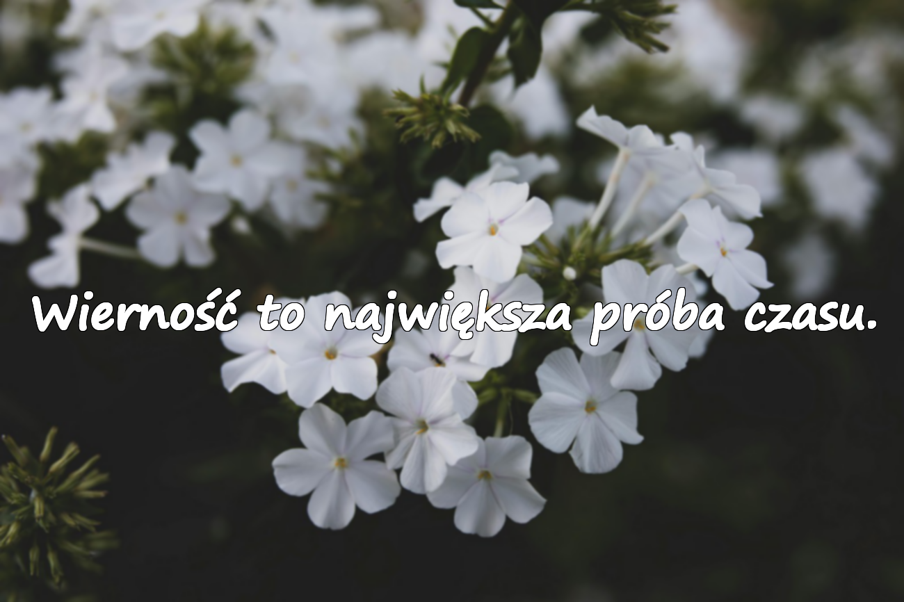 Wierność to największa próba czasu.