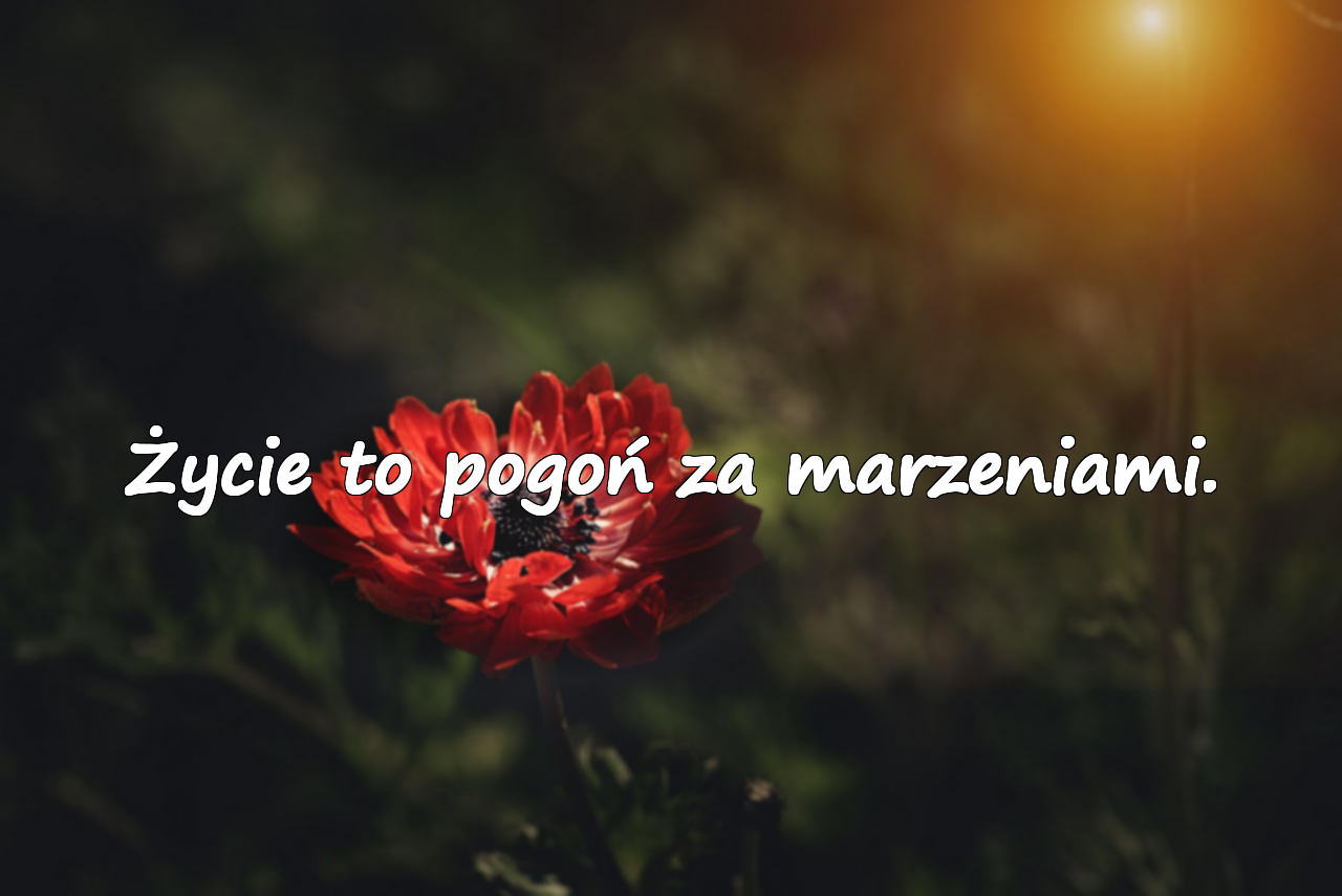 Życie to pogoń za marzeniami.