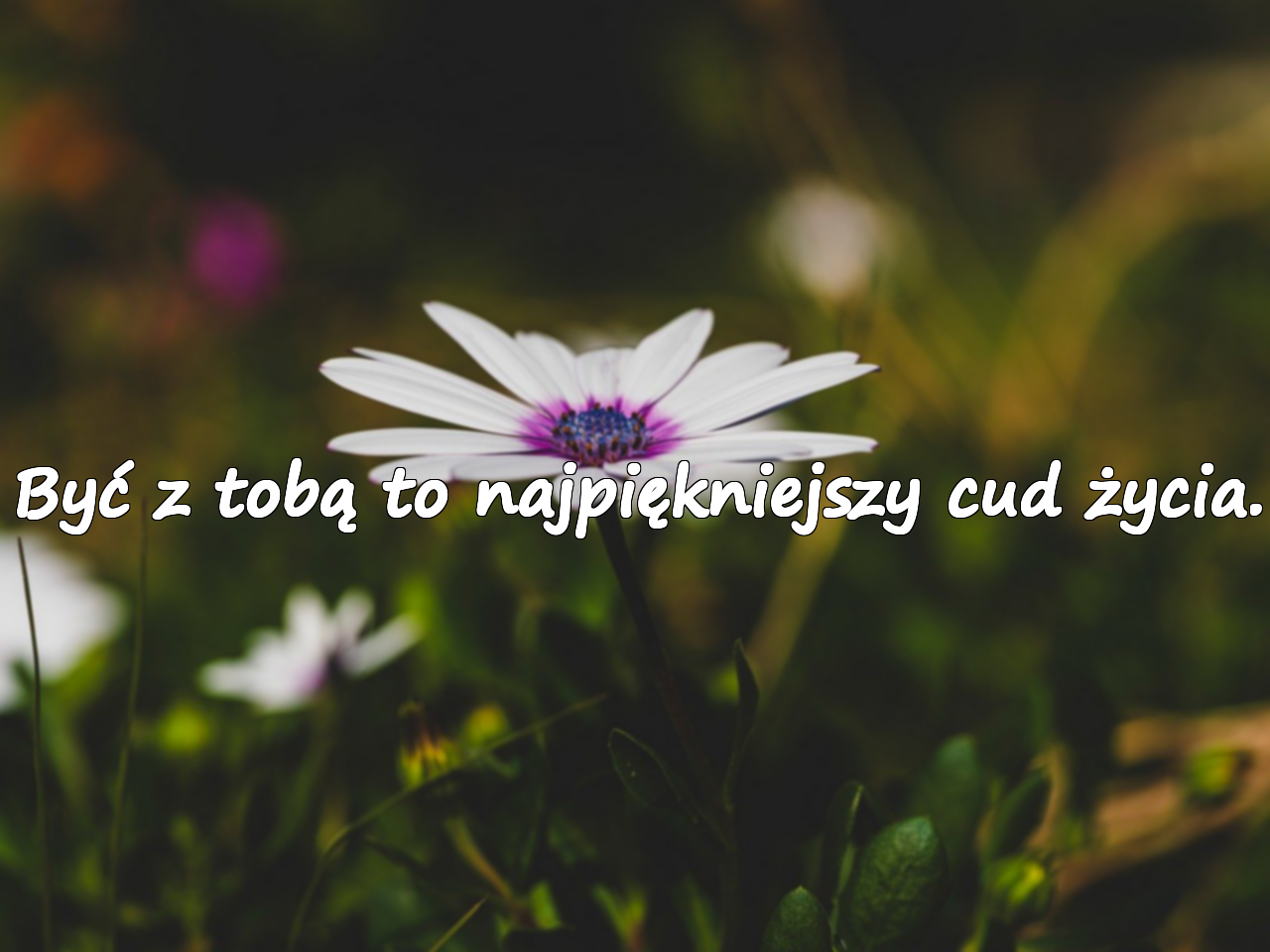 Być z tobą to najpiękniejszy cud życia.