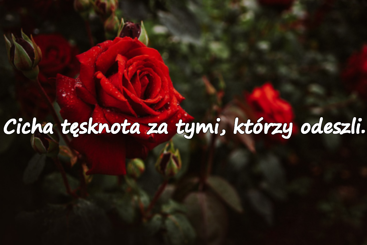 Piękne słowa o tęsknocie i braku