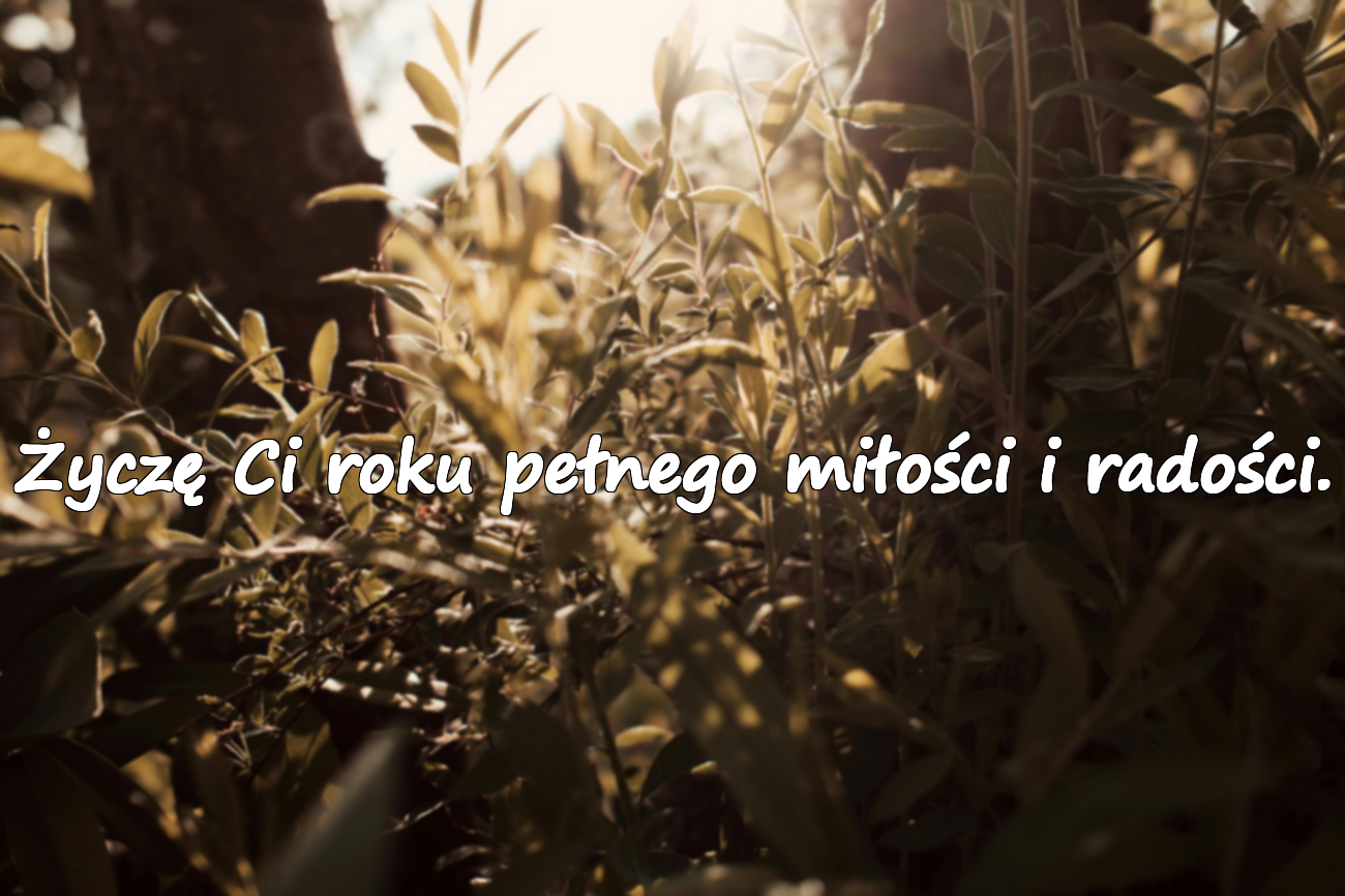 Piękne życzenia urodzinowe